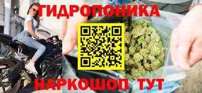 каннабис Боровичи